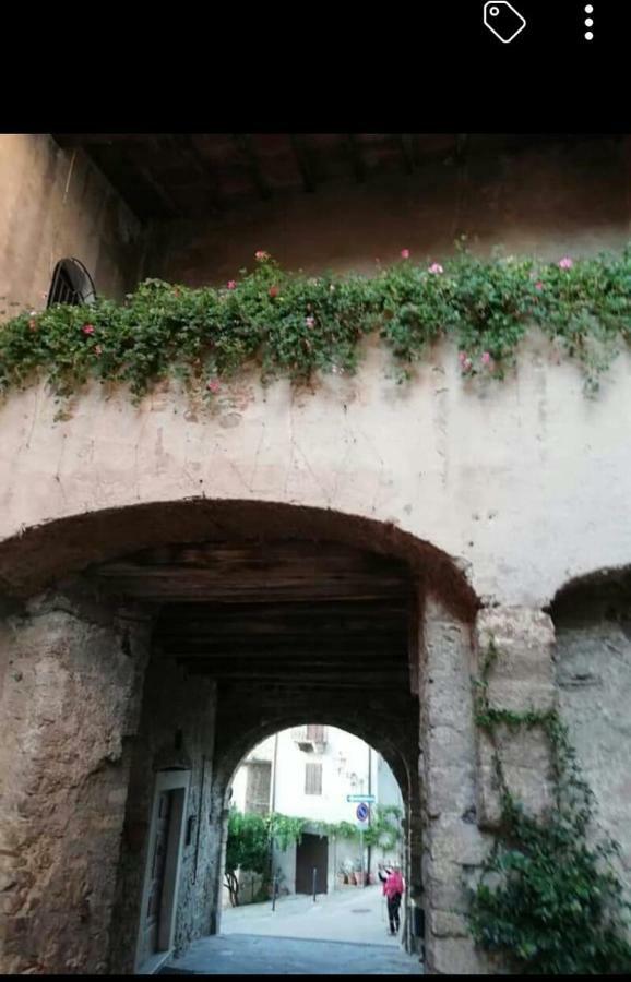 Appartamento Orchidea Montemerano Eksteriør bilde