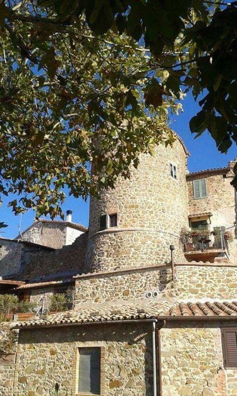Appartamento Orchidea Montemerano Eksteriør bilde